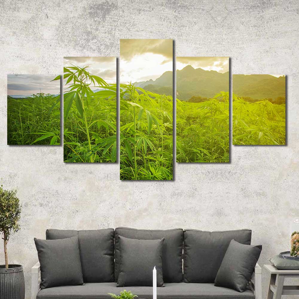 Wall Art for Living Room Marijuana Leaf Pictures Print On Canvas Botanical Posters and Prints 5 Panel Wall Art Framed Art Wall Decor Large Can並行輸入 Marijuana Plants Wall Art Sunset Cannabis Field Wall Decor