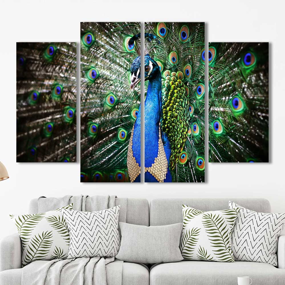 Royal Plumage: Peacock Portrait Collection Framed Canvas Home