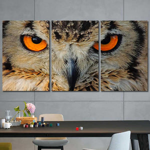 Owl Framed Canvas Home Decor Wall Art Multiple Choices 1 3 4 5 Panels