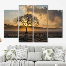 Sunrise Tree Field Framed Canvas Home Decor Wall Art Multiple Choices 1 3 4 5 Panels