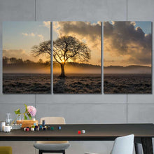 Sunrise Tree Field Framed Canvas Home Decor Wall Art Multiple Choices 1 3 4 5 Panels