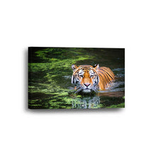 Tiger River Framed Canvas Home Decor Wall Art Multiple Choices 1 3 4 5 Panels