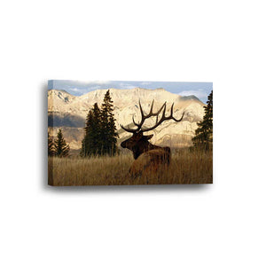Elk Nature Mountains Framed Canvas Home Decor Wall Art Multiple Choices 1 3 4 5 Panels