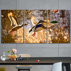 Ducks Mallard Hunting Framed Canvas Home Decor Wall Art Multiple Choices 1 3 4 5 Panels