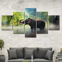 Elephant Playing in Water Framed Canvas Home Decor Wall Art Multiple Choices 1 3 4 5 Panels