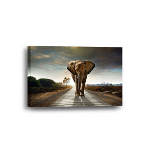 Elephant Sunset Framed Canvas Home Decor Wall Art Multiple Choices 1 3 4 5 Panels