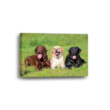 Dog Labrador Retriever Labs Framed Canvas Home Decor Wall Art Multiple Choices 1 3 4 5 Panels