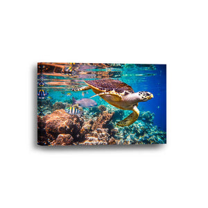 Turtle Ocean Coral Reef Framed Canvas Home Decor Wall Art Multiple Choices 1 3 4 5 Panels