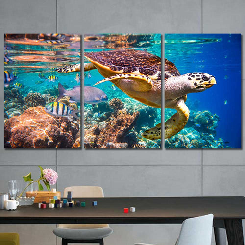 Turtle Ocean Coral Reef Framed Canvas Home Decor Wall Art Multiple Choices 1 3 4 5 Panels