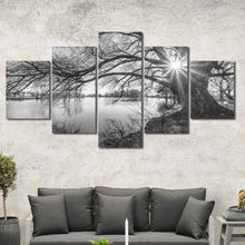 Black and White Tree Framed Canvas Home Decor Wall Art Multiple Choices 1 3 4 5 Panels