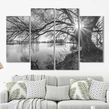 Black and White Tree Framed Canvas Home Decor Wall Art Multiple Choices 1 3 4 5 Panels