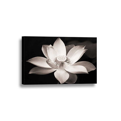Black and White Lotus Flower Framed Canvas Home Decor Wall Art Multiple Choices 1 3 4 5 Panels