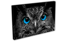 Blue Eyes Owl Framed Canvas Home Decor Wall Art Multiple Choices 1 3 and 5 Panels