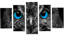 Blue Eyes Owl Framed Canvas Home Decor Wall Art Multiple Choices 1 3 and 5 Panels