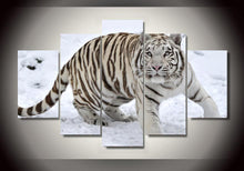 Large White Tiger in Snow - The Force Gallery