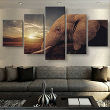 African Elephant - The Force Gallery