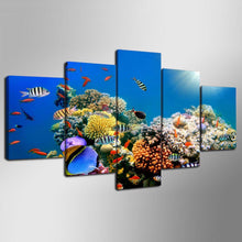 Coral Reef Tropical Fish Canvas - The Force Gallery