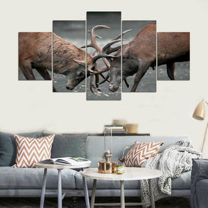 Deer Locked Antlers Fight Canvas - The Force Gallery