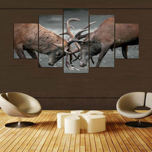 Deer Locked Antlers Fight Canvas - The Force Gallery