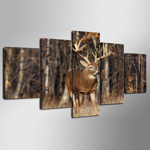 Huge Buck Deer Wildlife Canvas - The Force Gallery