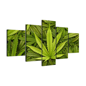 Marijuana Hemp Canvas - The Force Gallery