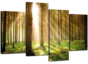 Sun Light Trees Forest 4 Piece Canvas Wall Art Home Decor Multi Panel Four